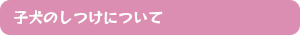 子犬のしつけについて