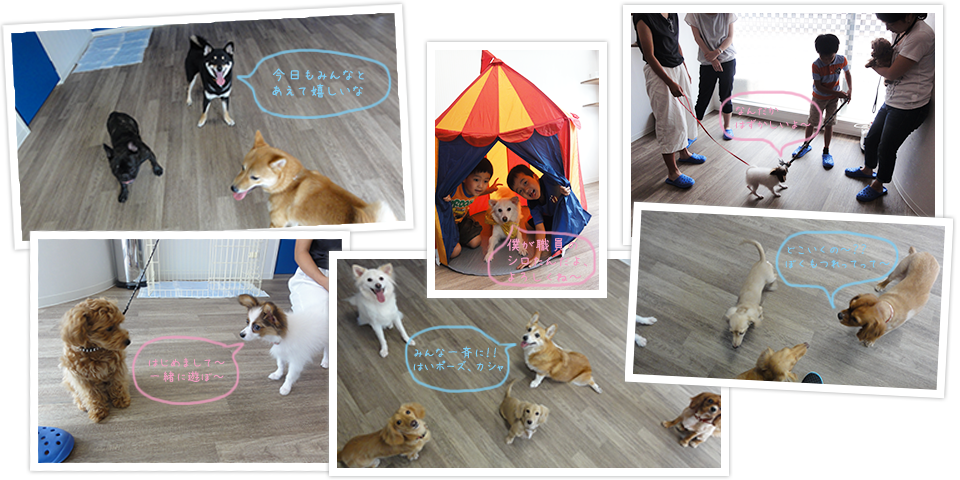 パピーパーティーの様子