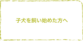 子犬を飼い始めた方へ