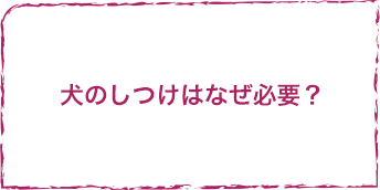 犬のしつけはなぜ必要?